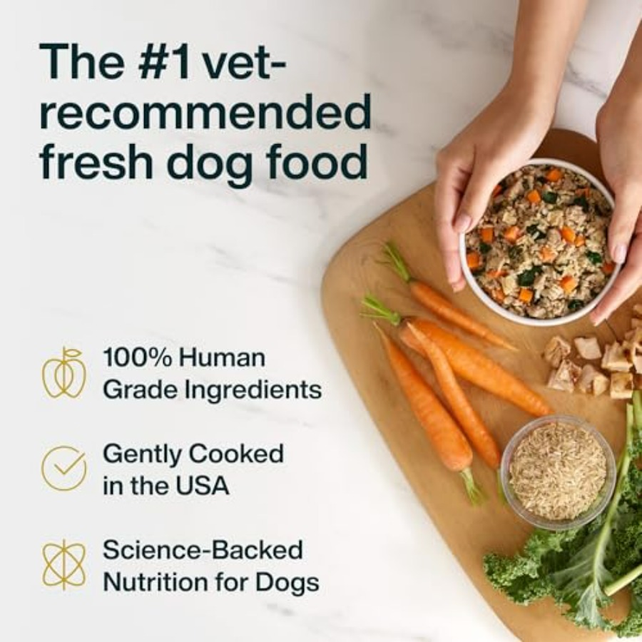 JustFresh Wet Dog Food, Fresh  - Home Cooking Dog Food ulasan dan harga